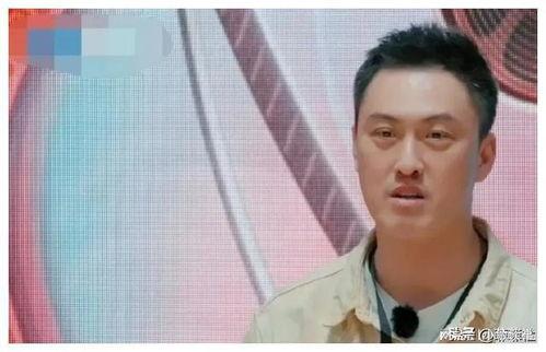 娱乐圈吃瓜爆料薛之谦,揭秘背后的真相与争议